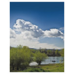 landscape flyers