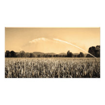 landscape art photo