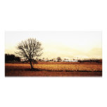 landscape photographic print