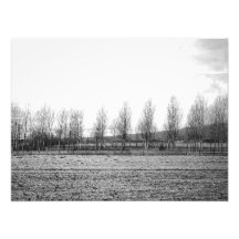 landscape art photo
