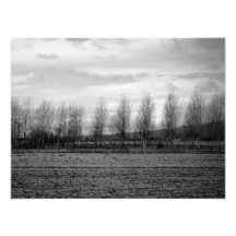 landscape photo