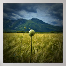 Landscape Print