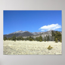 Landscape Poster