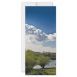 landscape rack cards