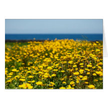 Landscape with daisies card