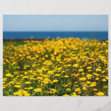 Landscape with daisies custom flyer