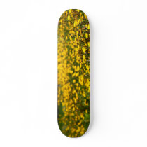 Landscape with daisies