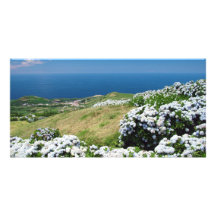 Landscape with hydrangeas personalized photo card