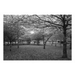 Landscape with trees art photo