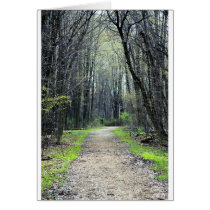 Landscapes and Lighthouses - A Path Less Travelled