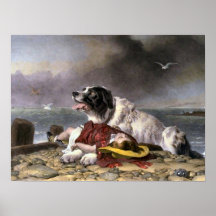 Landseer a économisé affiche