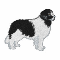 Landseer