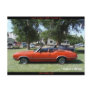 Lane County Cruise In -  1971 Olds 442 Postcard