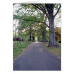 Lane in Spencer NC cards