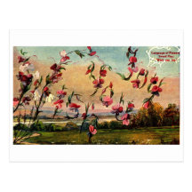 Language of Flowers Wish You Joy Vintage Greeting Post Card