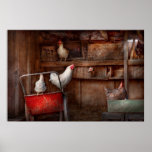 L'animal - poulet - le canard est un espion affiches