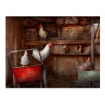 L'animal - poulet - le canard est un espion cartes postales