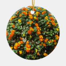 Lantana Camara (Yellow Sage) Pink flowers Ornament