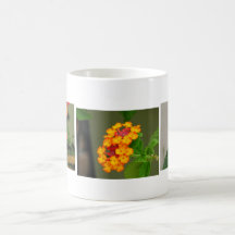 Lantana Coffee Mug