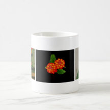 Lantana Coffee Mugs