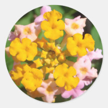 Lantana Flower with Ant Visitor Sticker