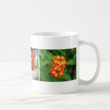 Lantana Mug