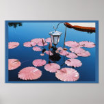 Lantern Over Lilies Posters