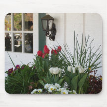Lantern Tulips Mousepad
