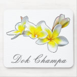 LAO FLOWER DOK CHAMPA - PLUMERIA RUBRA