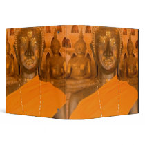 Laos, Vientiane, one of 6840 Buddha images in Binders