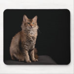 LaPerm cat Mousepad