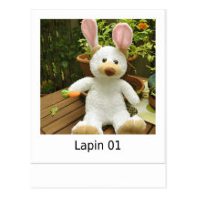 Lapin 01 cartes postales