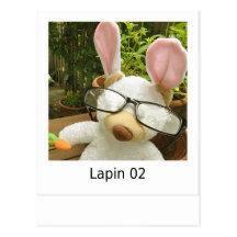 Lapin 02 cartes postales