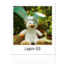 Lapin 03 cartes postales