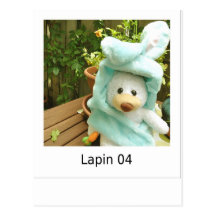 Lapin 04 cartes postales