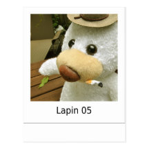 Lapin 05 carte postale
