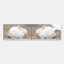 Lapin blanc câlin autocollant pour voiture