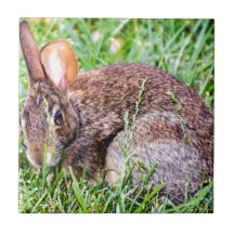 Lapin Carreau En Céramique