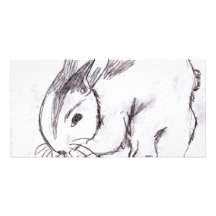 Lapin de Betsybug Photocarte Personnalisée