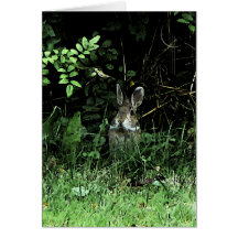 Lapin de frère cartes de vœux