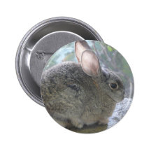 lapin de lapin pin's