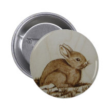 Lapin du côté rocheux… badges