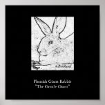 Lapin géant flamand " le géant doux " affiche