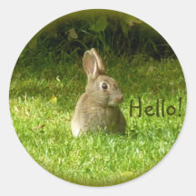 Lapin sauvage autocollant