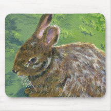 Lapin Tapis De Souris