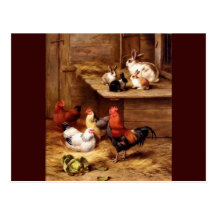 Lapins d'animaux de ferme de poules de coq de lapi cartes postales