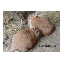 Lapins Invitations Personnalisables