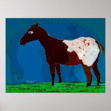 L'Appaloosa II Posters