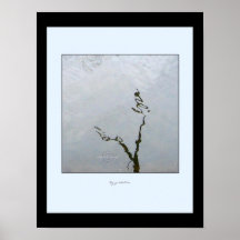 L'arbre a reflété l'affiche de 3 photos gretchen p