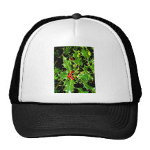 L'arbre de vacances de Joyeux Noël ornemente le ce Casquette De Camionneur